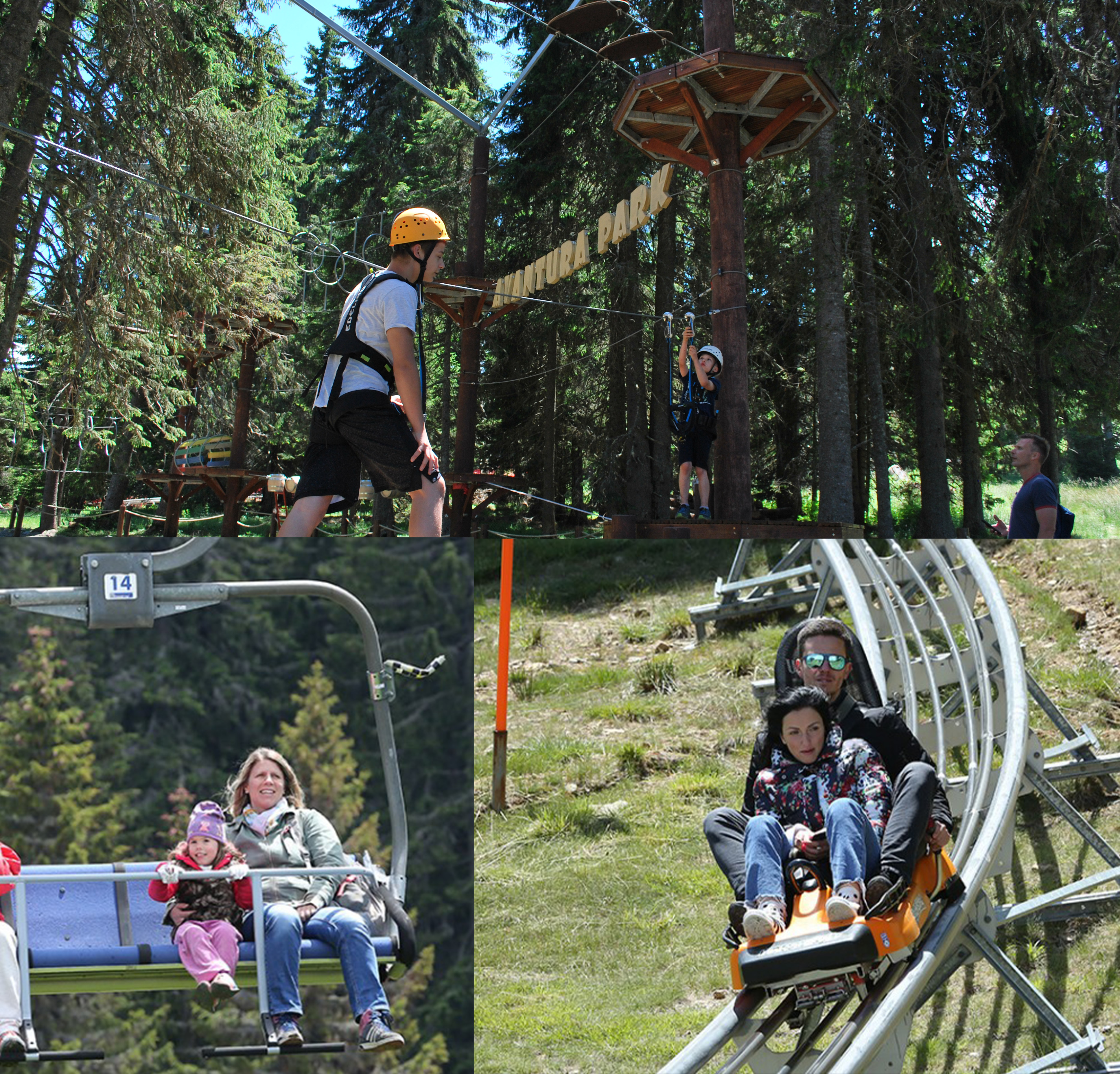https://www.kraljevicardaci.com/wp-content/uploads/2025/05/kopaonik_sadrzaj_2025.jpg